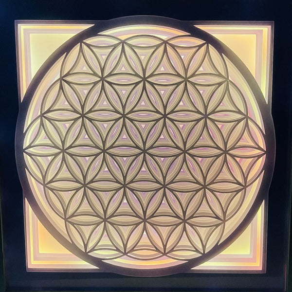 Tableau lumineux WhiteBox™ Fleur de vie
